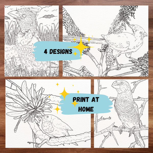 Printables - Garden Birds of South Africa