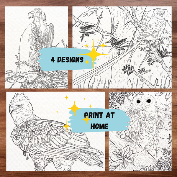 Printables - Predator Birds of South Africa