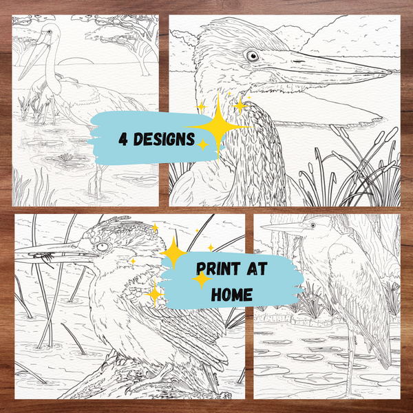 Printables - Water Birds of South Africa